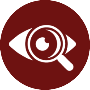 1744781817_Icon 10.png